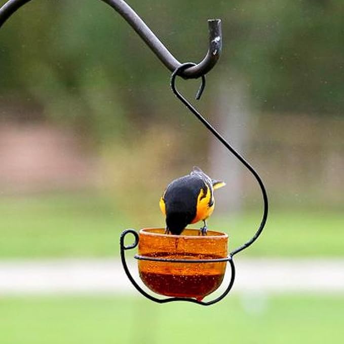 Oriole Jelly Feeder - Sparkling Orange Glass Bowl with Decorative Hanging Hook - Removable Cup for Easy Cleaning - Outdoor Baltimore Oriole Feeder for Grape Jelly, Fruit & Nectar