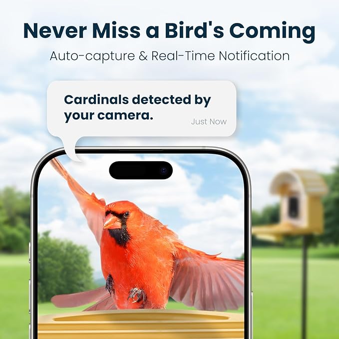 Smart Bird Feeder with Camera, 2.5K UHD Bird Camera AI Identifies 11,000+ Bird's Species, Real-time Bird's Videos & Pictures, Solar Powered Wireless Outdoor, Ideal Gift for Mom, Yellow