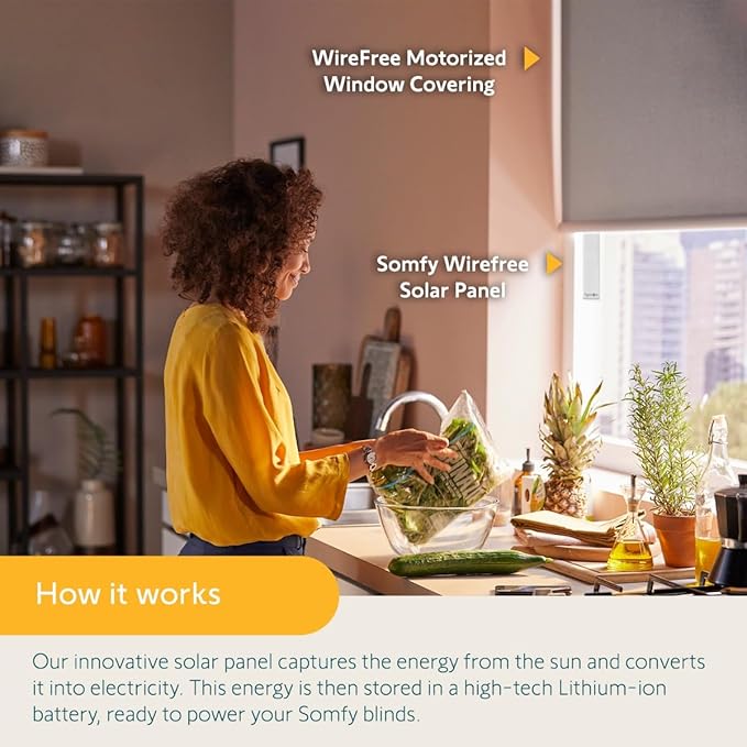 Somfy Wirefree Li-ion Solar Panel Kit 2-Pack - Solar Panel Power for RTS Motorized Shades, Blinds and Curtains - Long Lasting, Easy to Install - Includes Brackets and Glass Mount Adhesive #9027294
