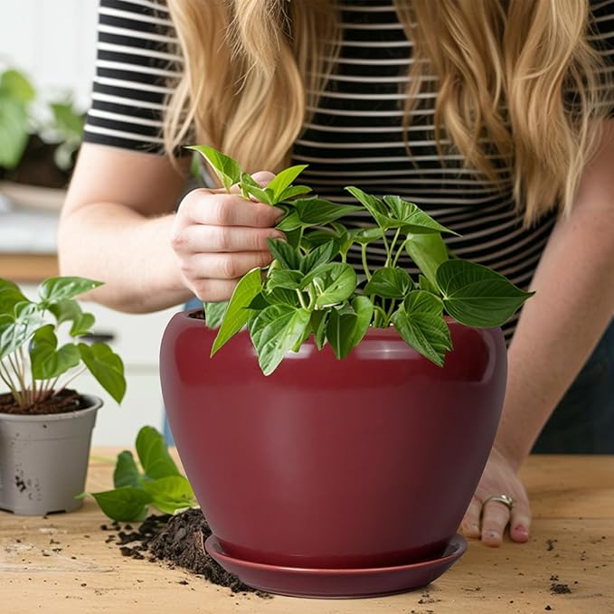 Ceramicfor Ceramic Planter - 8 Inch Plant Pot Indoor with Drainage Hole and Saucer Planter for Outdoor Plants Round Flower Pot for House Patio Decor Red