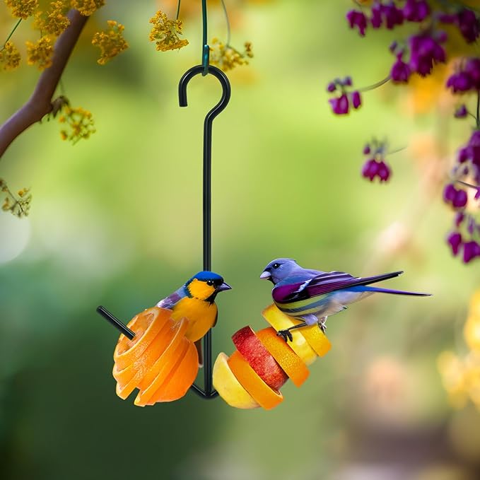 Zonon 1 Pcs Oriole Bird Feeder Hanging Orange Fruit Bird Feeder with Hook Black Fruit Holder for Outdoors Garden Patio (2 Prongs)