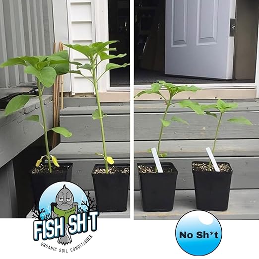 Fish Head Farms Organic Soil Conditioner for Yield and Flavor Enhancement. Improves Fertilizer Efficiency. Useful in Both Garden Soil and Hydroponics Applications - 1 Liter