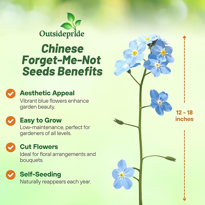 Outsidepride Cynoglossum Blue Chinese Forget Me Not Seeds - 1 Lb. Self-Sowing Annual Flower Seeds for Planting Dense Blue Blooms & Upright Growth Habit for Borders, Pollinator & Cottage Gardens