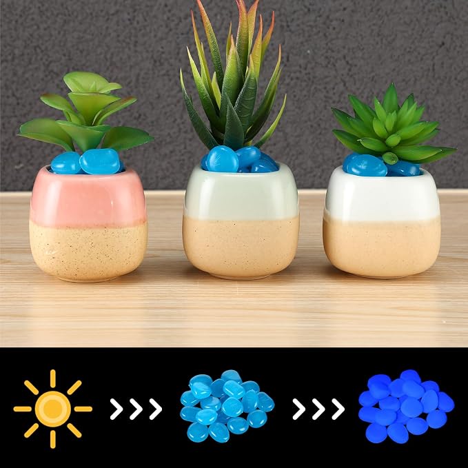 Sasylvia 3000 Pcs Glow in The Dark Rocks 1 Inch Glow Rocks 12.6 LB Garden Glow in The Dark Stone Outdoor Glow in The Dark Pebbles for Landscaping Walkway Pathway Backyard Fish Tank Plant (Dark Blue)