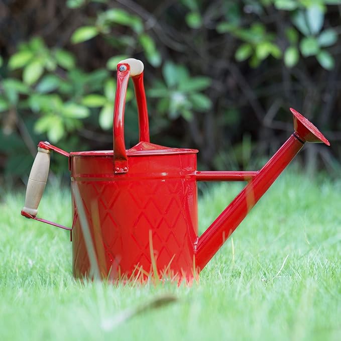 1 Gallon Watering Can, Red, Galvanized, Metal Watering Can with Removable Spout, Perfect Water Can for Indoor & Outdoor Plants
