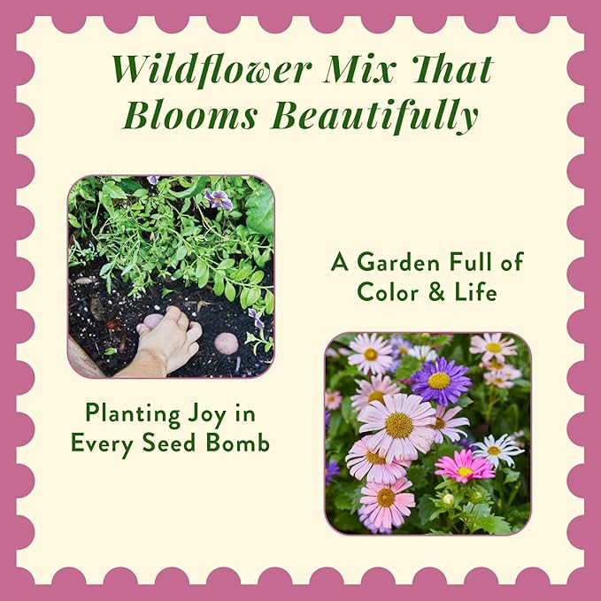 Modern Sprout Wildflower Seed Ball Poop - Eco-Friendly Gift - Non-GMO Hand-Rolled Clay Seed Bombs w/Wildflower Seeds - Plop Plant & Grow Gardening Gift Set for All Occasions (Magical Plop- Pack of 3)