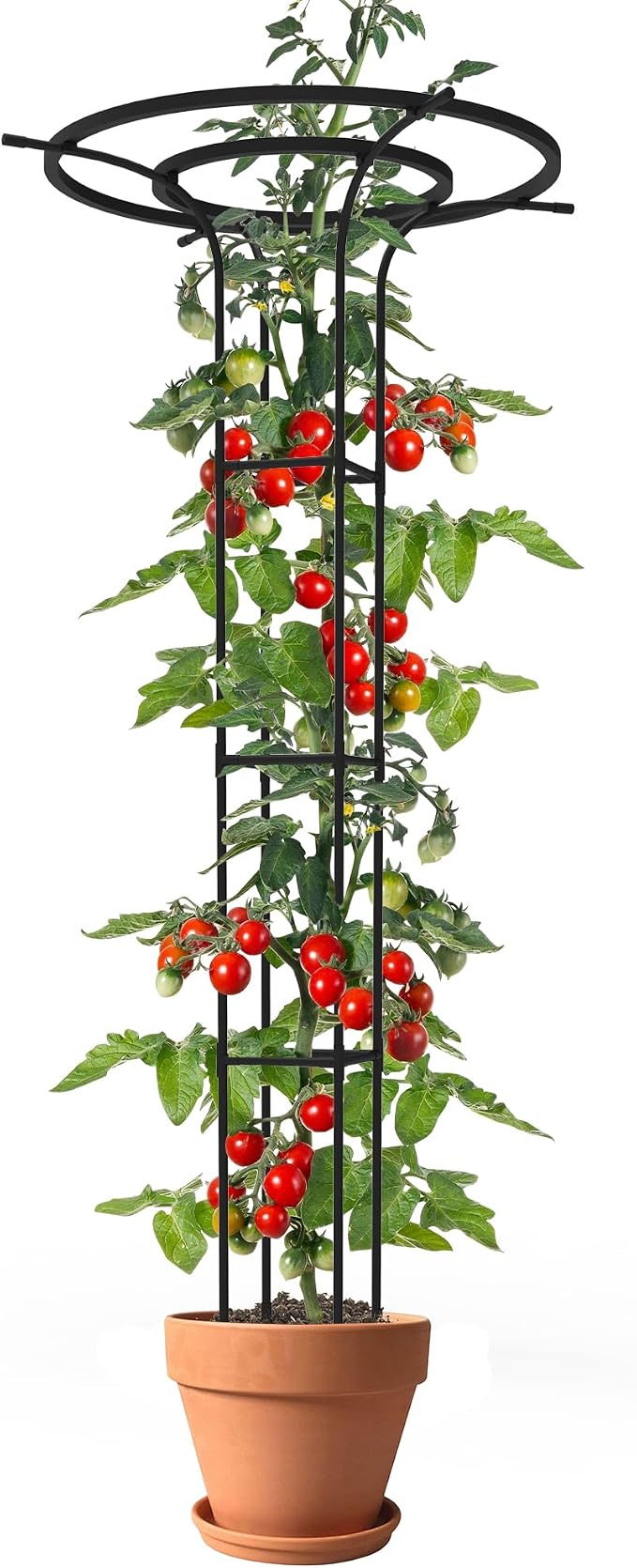 Trellis for Climbing Plants Outdoor, 70.9 Inch Mushroom Top Trellis for Climbing Plants, Metal Plant Support for Potted Plants Climbing Vine Rose Clematis Vegetable Trellis (1 Pack)