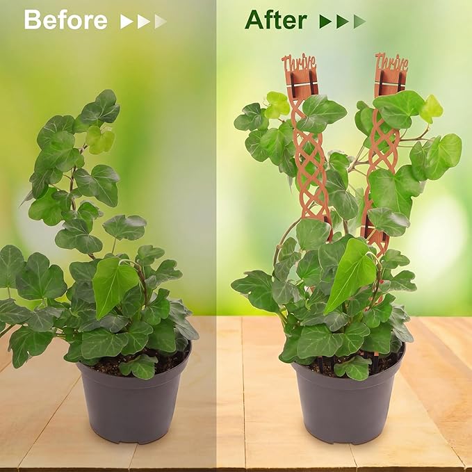 6 Sets Wooden Extendable Plants Trellis Indoor Modular Plant Trellis with Wood Thrive Sign Decor and Extensions for Outdoor Climbing Houseplants Vine Flower Stem(Diamond)
