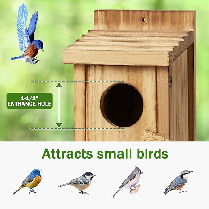 Small Bird House for Hummingbirds,Bird Houses for Outside,Humming Bird Houses for Outside,Outdoor Bird Box,Birdhouse,Bluebird House,Wooden Birdhouse with perches
