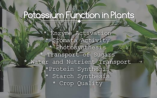 Greenway Biotech, Inc. Monopotassium Phosphate Fertilizer 0-52-34-100% Water Soluble Hydroponics for Root Strength - Increase Yield and Blooming - High Purity Plant Nutrient Formula - 1 Pound
