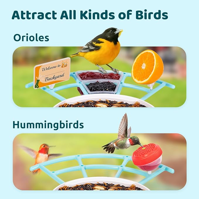 NETVUE by Birdfy Pro Smart Bird Feeder with Camera Solar Panel, Instant Arrival Alerts, Live Stream & Night Vision for Outdoors & Backyard Hummingbird, Cardinalis & Oriole Watching, Ideal Gifts, Blue