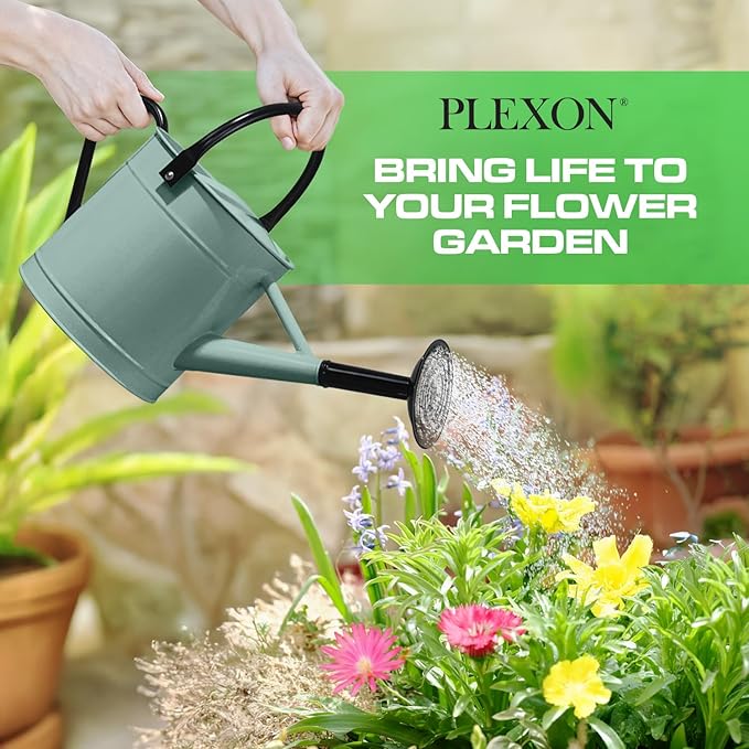 Plexon Metal Watering Can Outdoor 1 Gallon, Flower Plant Gardening Garden Large Watering Can Pot, Black Galvanized Steel Handles and Removable Spray Spout, Aqua Mist Blue
