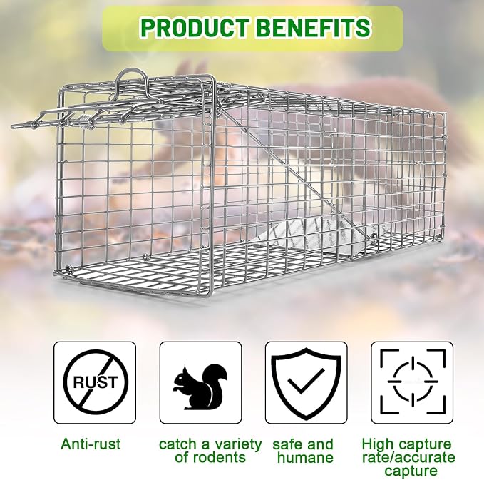 Qualirey 1 Pcs Humane Squirrel Trap Heavy Duty Live Animal Chipmunk Catch and Release Rat Trap for Outdoor Small Animals Mouse Raccoon Stray Cat Rodent Weasels (Silver)