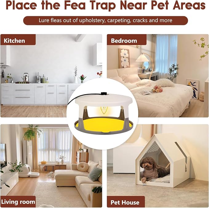Flea Traps for Inside Your Home, 2 Pack Indoor Flea Light, Electric Bed Bug Insect Killer with 8 Sticky Pads & 8 Light Bulb Replacement, Natural Pest Control w/Glue Discs Refills, Safe for Kid Pet