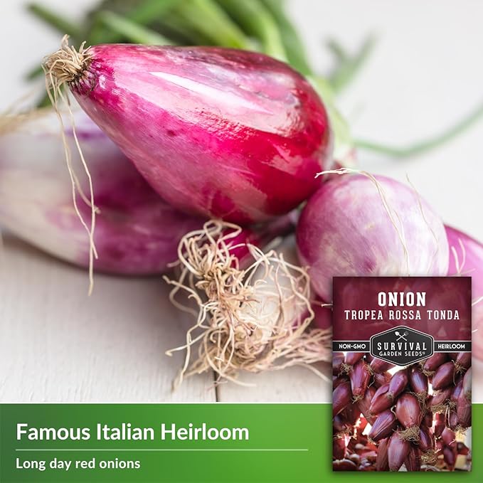 Tropea Rossa Tonda Onion Seeds for Planting – Sweet Italian Red Onion from Calabria with Torpedo Shape & High Yields – Heirloom, Non-GMO, Open-Pollinated – Survival Garden Seeds (5 Packs)