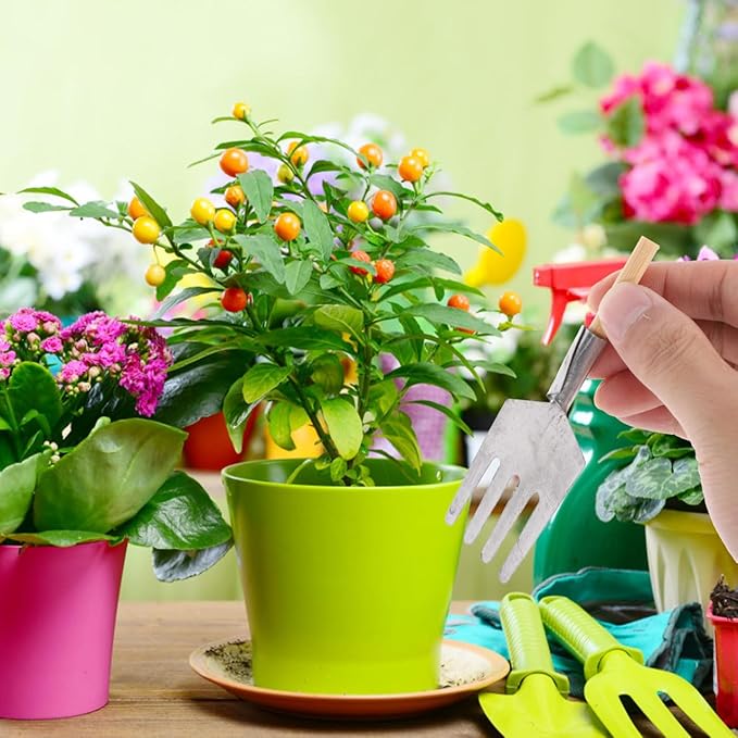 Complete Set of 5 Miniature Gardening Tools for Outdoor and Terrarium Plants – Mini Hand Shovels - Rake - Planting Shovel Iron Child Flowers – for Bonsai Tree Garden and