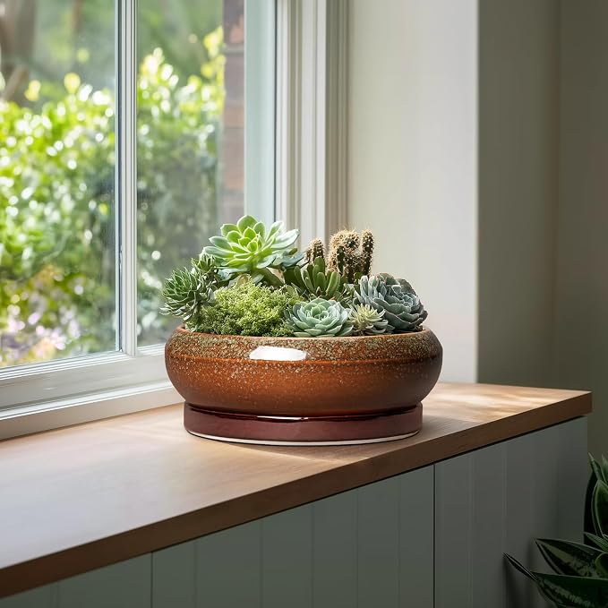 Bonsai Pots 13 Inch - Large Ceramic Succulent Planter for Indoor Outdoor, Round Shallow Planters with Drainage Hole and Saucer, Large Succulent Pots, Patio Decor, Garden Gifts, Retro Brown