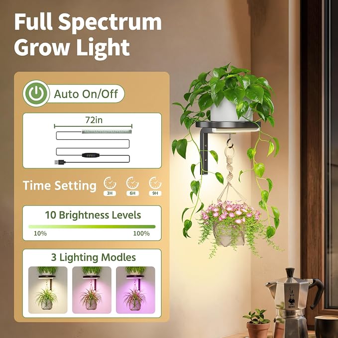 LASZOLA Plant Hangers Shelves Wall Mounted Indoor with Grow Lights, Metal Window Plant Holders, 1Pcs Modern Floating Flower Display Stand with Hook for Outdoor Kitchen Bathroom Decor, Black