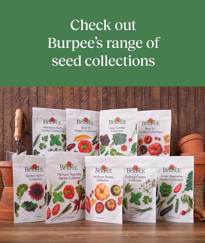 Burpee Garden Sown Flower, Herb & Vegetable 10 Packs of Non-GMO Basil, Lettuce, Cucumber, Radish, Spinach, Kale, Zucchini, Sunflower & Marigold, Seeds for Planting