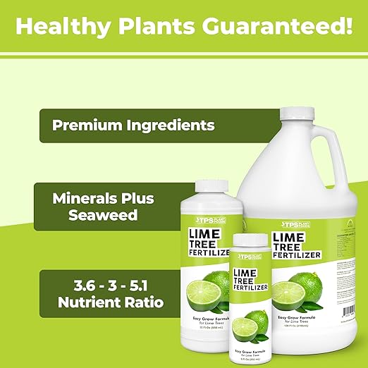 Lime Tree Fertilizer – Liquid Plant Food for More Fruit, Better Flowering & Stronger Root Development, 1 Gallon