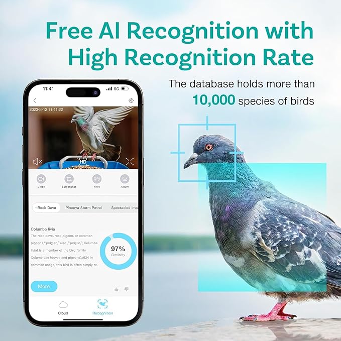Birdock 1296P HD AI Identify Smart Bird Feeder with Camera,1296P HD AI Identify Wild Watching Camera, Auto Capture Videos & Motion Detection,Gift for Bird Lover (2.4G HZ WiFi)(Blue)