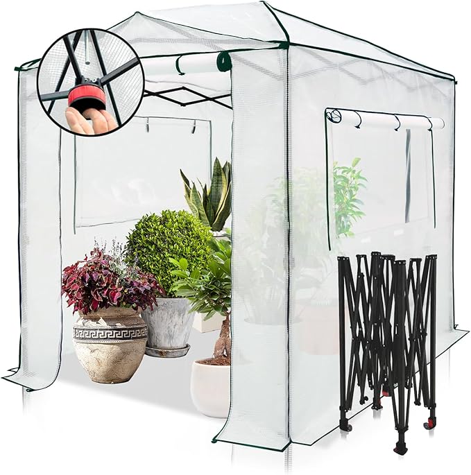 EAGLE PEAK 8x6 Portable Walk in Greenhouse, Pop Up Indoor Outdoor Greenhouse, Green House Kit with Zippered Roll-Up Doors and Windows, PE Cover, Clear/White