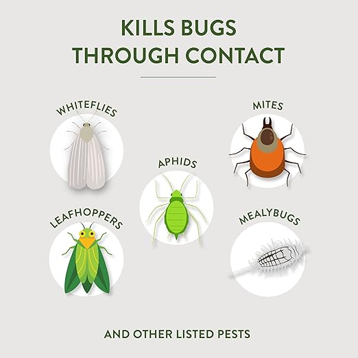 Garden Safe Brand Insecticidal Soap Insect Killer, 32 Fluid Ounces, For Organic Gardening, Kills Bugs Through Contact