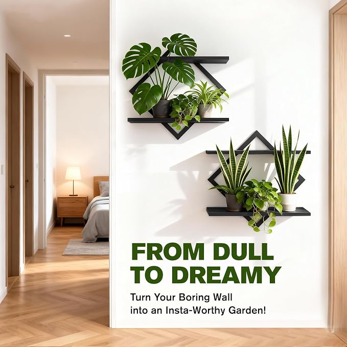 2 Pack Wall Planters for Indoor Plants, Black | 2-Tier Floating Wall Shelves, Wall Mounted Plant Holder Stand, For Bathroom Living Room Bedroom Kitchen Office