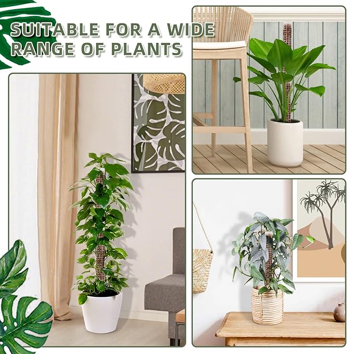 Small Moss Pole for Monstera - Stackable & Refillable Plastic Moss Poles for Climbing Plants with Large Mesh Design (2Pack-White-Small)