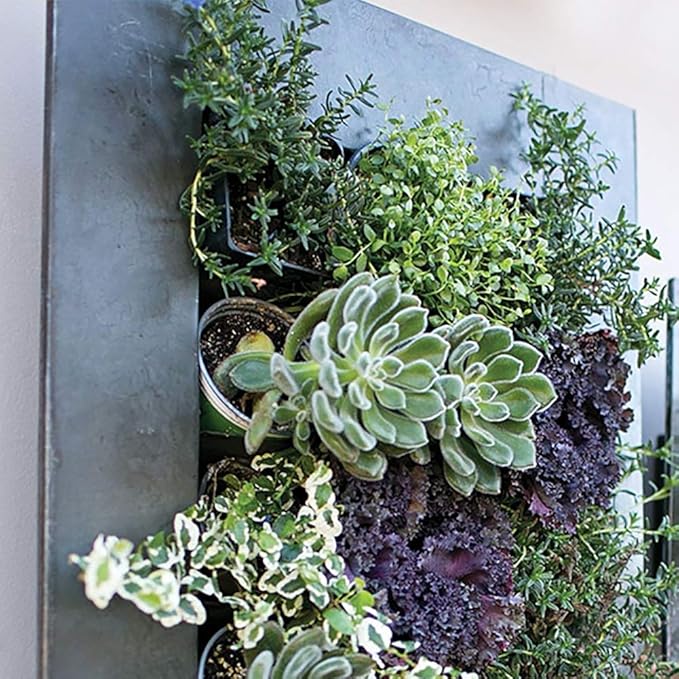 Modern Home Living Wall Galvanized Steel/Zinc Succulent Planter, Wall Mounted Garden Pocket Planter (18 Pocket, Rust Zinc)