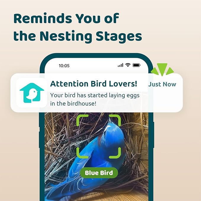 Birdfy Smart Bird House with Camera Lifetime AI Identify Auto-Record Nesting Stages & Alerts, Remote Control Night Vision Battery & Solar Outdoor-Ready, Gift for Nesting Watching Enthusiasts