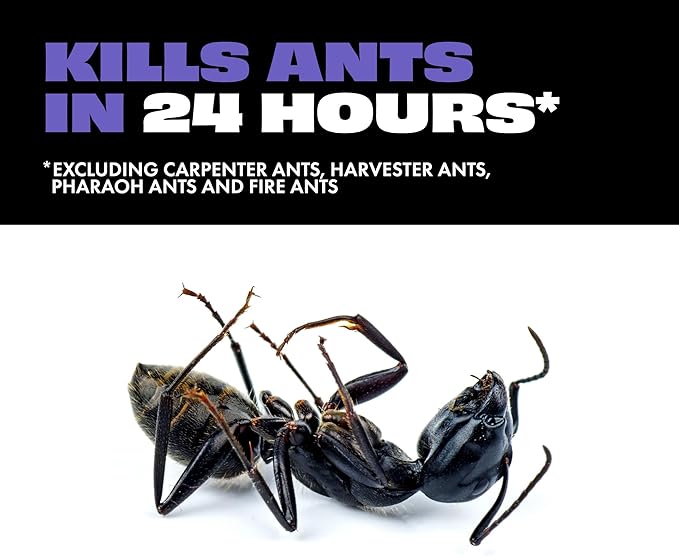 STEM Liquid Ant Baits, Kills The Queen and Colony, for Indoor Use, 12 Spill Proof Bait Stations