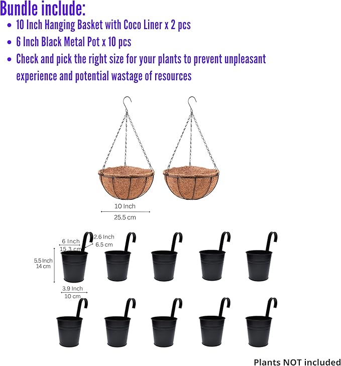 LaLaGreen Bundle- 2 Pack, 10 Inch Hanging Basket with Coco Liner + 10 Pack, 6 Inch Black Metal Pot Outdoor Wall Rail Deck Flower Herb Bucket Patio Porch Balcony Round Planter Farmhouse Style Garden