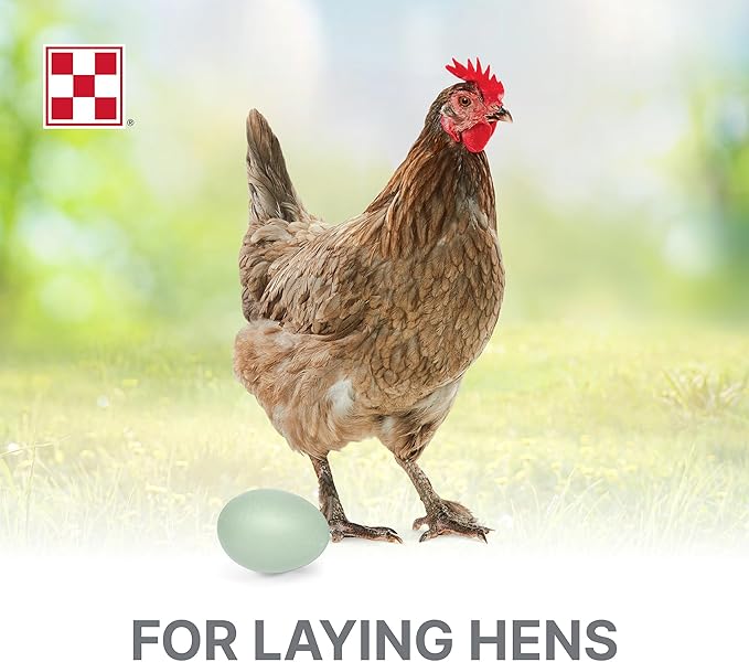 Purina® Layena® Crumbles Chicken Food, 10 Pound Bag