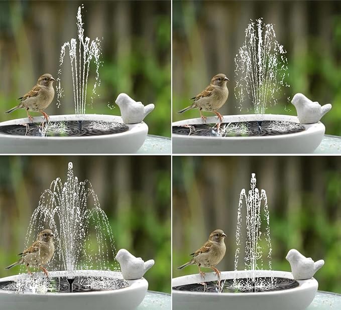 Lewisia 5W Solar Fountain Pump with Battery Backup for Patio Pool Koi Pond Bird Bath Garden Decoration Submersible Solar Powered Water Pump Kit