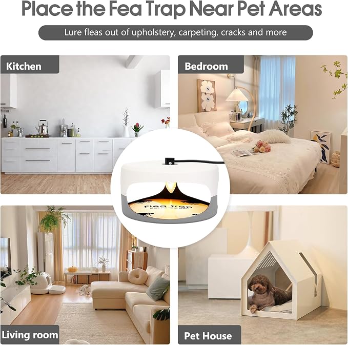 Flea Traps for Inside Your Home, 4 Pack Original Indoor Flea Light Bed Bug Killer w/ 12 Sticky Pads & 12 Light Bulb Refills Replacement, Odorless Insect Infestation Treatment Trap Lamp for Kid Pet