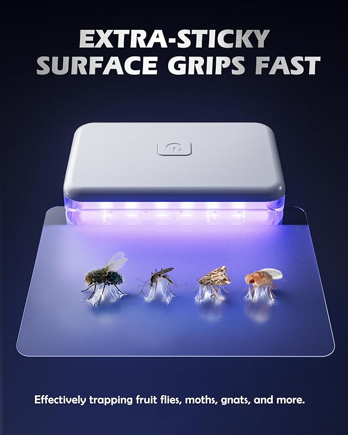 LFSYS 3 Pcs Fruit Fly Traps for Indoors (3 Device+20 Refills) Plug in Fly Trap for Gnats, Fruit Flies, Flying Insects Sleek Design Indoor Safe