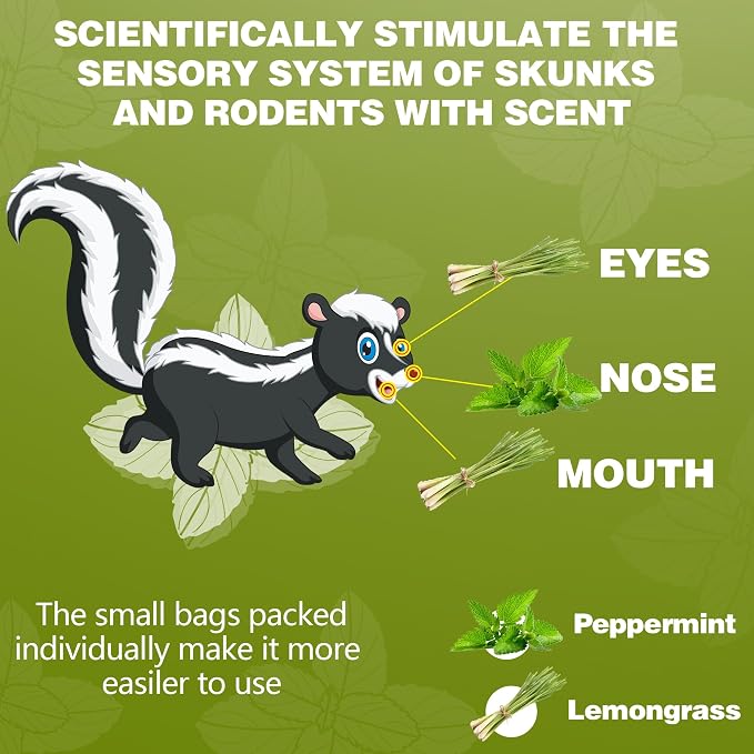 36 Pack Skunk & Raccoon Repellent for Yard, Natural Peppermint Rodent Repellent Ball Keep Skunk, Squirrel, Mouse, Raccoon Away from Yard Garden Lawn, Powerful Skunk Deterrent Outdoor