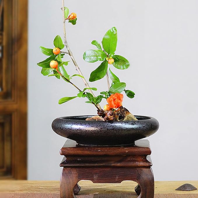 Flower Arrangement Supplies, Deep Round Ceramic Ikebana Flower Vase with 5cm Kenzan Flower Frog for Floral Arrangement Home Decoration, Black Spotted
