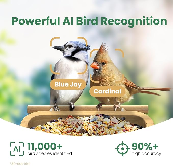 Smart Bamboo Bird Feeder with Camera | 2.5K UHD AI Identification, Real-time Videos & Pictures, Wireless Solar Powered, Outdoor, Ideal for Garden Birding