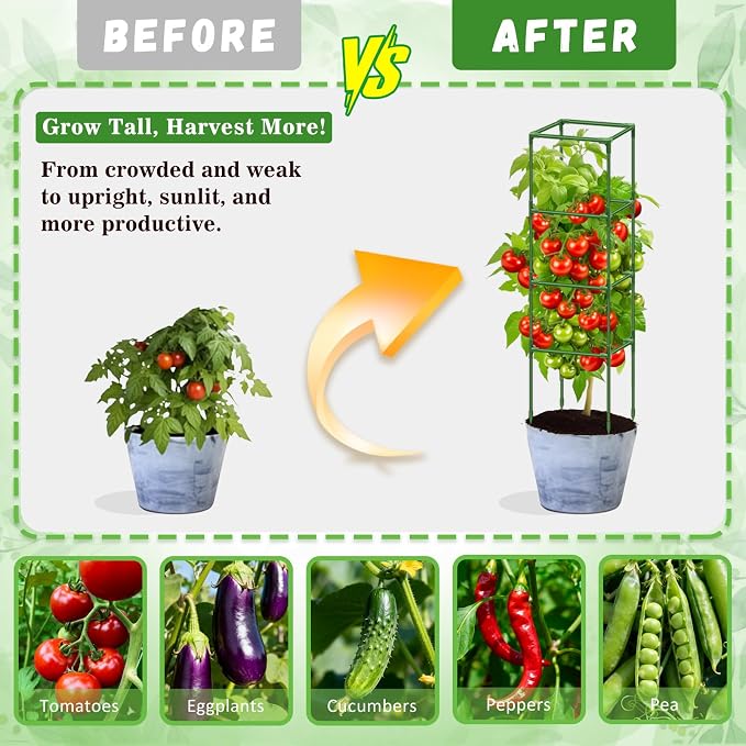 Riare 4 Pack Square Tomato Cages for Garden- 60 Inch Heavy Duty Tomato Stakes Plant Support, Metal Tomato Trellis for Climbing Plants Outdoor, Raised Garden Bed, Vegetables Flowers