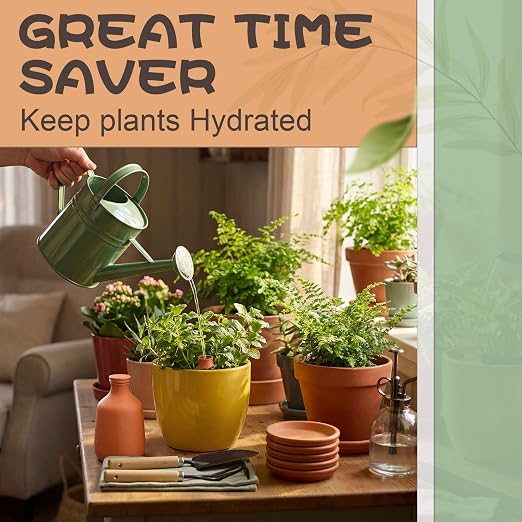DoubleFill 1 Pcs 100 oz Ollas Terracotta Watering Pots Self Watering Planter Insert Terracotta Globes Clay for Outdoor Indoor Garden Plants, Easy to Refill