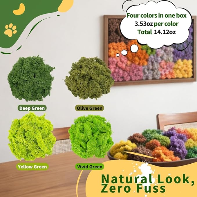 Preserved Reindeer Moss, Natural Decorative for Home Decor, DIY Crafts, Moss Wall Art, Terrariums, Floral Arrangements, Wedding & Holiday Decorations, Total 14oz (Olive Haven)