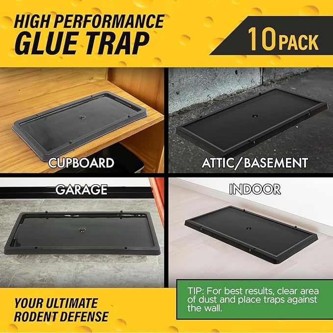 TRATPER Glue Traps for Mice,Rat,Mouse,Snake,Lizard,Insect. 10 Pack. Extra Strength,Pre-Baited Adhesive.Heavy Duty Plastic Tray.Non-Toxic,Chemical-Free Pest Control for Home. 10Pack