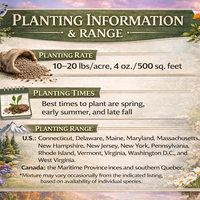 Virginia Bulk Perennial Wildflower Seed Mix 1lb Covers 2,000sq-ft - Attract Pollinators, Multi-Color Blooms - Northeast US Species Plant in Spring/Fall - Earth-Friendly Packaging (1/4 Pound)