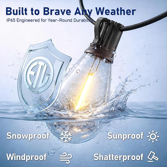 30FT LED Outdoor String Lights with Remote, One Continuous Strand Patio Lights with 10+1 Shatterproof S11 Bulbs, Dimmable 2200K Warm White, Timer & 3 Modes, Low Voltage for Backyard Garden