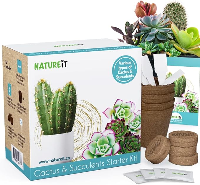 Cactus & Succulents Seed Starter Kit. Everything Needed to Grow an Amazing Assortment of Cactus & Succulents. Perfect for Plant Lovers and Gardener mom. Unusual Housewarming Gift