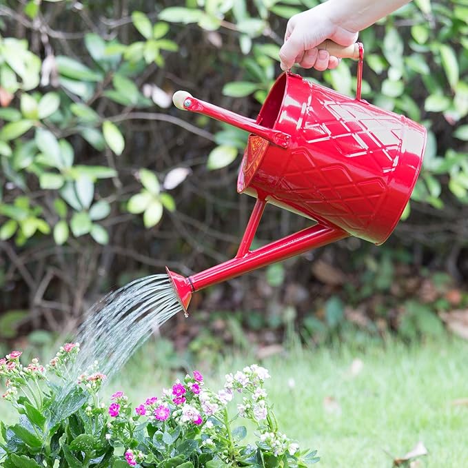 1 Gallon Watering Can, Red, Galvanized, Metal Watering Can with Removable Spout, Perfect Water Can for Indoor & Outdoor Plants
