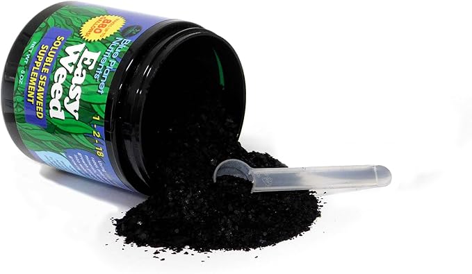 Easy Weed Soluble Seaweed (8 oz) Soluble Kelp Supplement | for All Plants & Gardens | Makes UP to 880 GALLONS | Blue Planet Nutrients