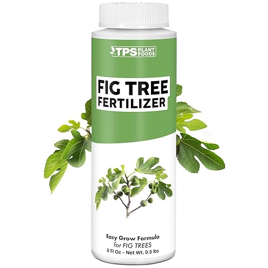Fig Tree Fertilizer – Liquid Plant Food for Bigger Harvests, Stronger Root Development & Healthy Leaf Growth, 8 oz
